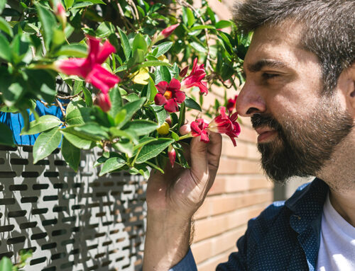 Why You Might Be Losing Your Sense of Smell (and When to Worry)